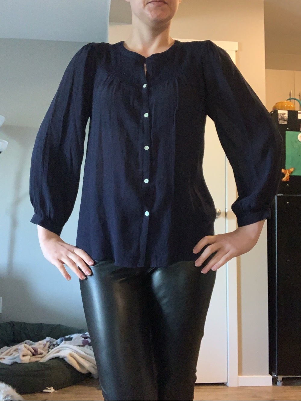 Nanette Semi-Sheer Blouse